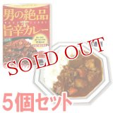 明治　男の絶品　旨辛カレー　スパイシー辛口　180g(1人分)×5個セット　meiji