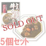 ハウス　とろうま牛角煮カレー　こくの中辛　210g(1人分)×5個セット　House