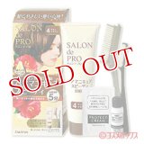 ダリヤ　サロンドプロ　ヘアマニキュアスピーディ(白髪用)　4ライトブラウン　SALON de PRO　DARIYA