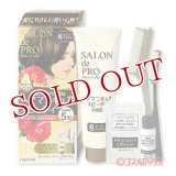 ダリヤ　サロンドプロ　ヘアマニキュアスピーディ(白髪用)　6ダークブラウン　SALON de PRO　DARIYA