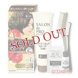 画像1: ダリヤ　サロンドプロ　ヘアマニキュアスピーディ(白髪用)　6ダークブラウン　SALON de PRO　DARIYA