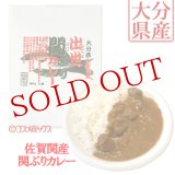 富士見水産 出世関ぶりカレー 180g