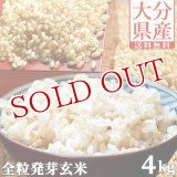 【送料無料】大分県産 無洗米 手作り発芽玄米 4kg(1kg真空パック×4袋) 準無農薬(減農薬) スタリオン日田