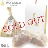 【送料無料】豊後銘菓 やせうま 5個入り やせうま本舗 田口菓子舗