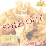 送料無料 大分からあげ プレミアム とりかわサクサク揚げ (25g×4袋)×3個セット