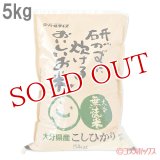 研がずに炊ける無洗米 こしひかり 5kg パールライス大分経済連【送料無料】