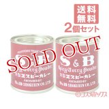 ヱスビー　Spicy Curry Powder 特製ヱスビーカレー　37g×2個セット　S&B