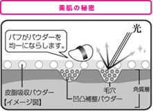 美肌の秘密 パフがパウダーで均一にならします。