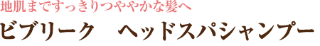 地肌まですっきりつややかな髪へ ビブリーク ヘッドスパシャンプー