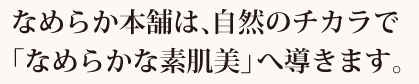 なめらか本舗は、自然のチカラで「なめらかな素肌美」へ導きます。