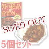 画像: 明治　男の絶品　旨辛カレー　スパイシー辛口　180g(1人分)×5個セット　meiji