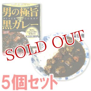 画像: 明治　男の極旨　黒カレー　スパイシー中辛　180g(1人分)×5個セット　meiji