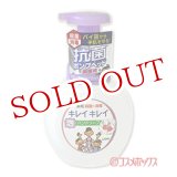 画像: キレイキレイ 薬用泡ハンドソープ フローラルソープの香り ポンプ 医薬部外品 250ml ライオン(LION)