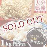 画像: 【ゆうパケット送料無料】大分県産 無洗米 手作り発芽玄米 お試し 1kg(真空パック) 準無農薬(減農薬) スタリオン日田