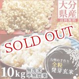 画像: 【送料無料】大分県産 無洗米 手作り発芽玄米 10kg(真空パック1kg×10袋) 準無農薬(減農薬) スタリオン日田