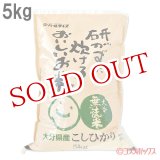 画像: 研がずに炊ける無洗米 こしひかり 5kg パールライス大分経済連【送料無料】