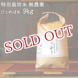 画像: 大分県竹田市産 ひとめぼれ 特別栽培米【無農薬】「てん米もり」9kg たなべ農園【送料無料】