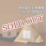 画像: 大分県竹田市産 ひとめぼれ 特別栽培米【無農薬】「てん米もり」300g×2 たなべ農園【送料無料】