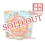 画像: こども乳酸菌カルシウムチュアブル 栄養機能食品 90g×5個セット ユニマットリケン(UNIMAT RIKEN)【送料無料】