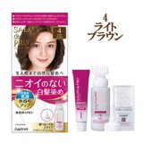 画像: ダリヤ　サロンドプロ　無香料ヘアカラー　早染め乳液　4　ライトブラウン　SALON de PRO　DARIYA