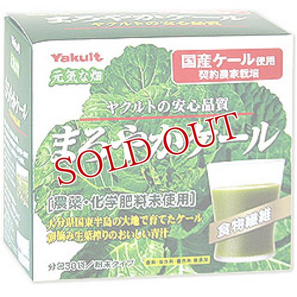 画像1: 【お取り寄せ】ヤクルトヘルスフーズ　元気な畑　まろやかケール　分包30袋/粉末タイプ　Yakult (1)